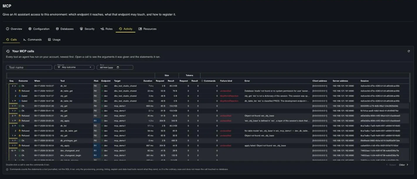 Your MCP calls : every tool call with outcome, risk class, endpoint, target, duration, sizes, tokens, commands, failure kind, error text, client and server addresses.