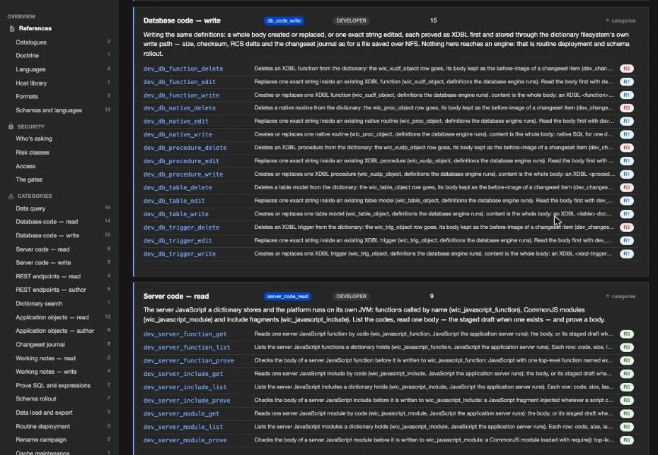 One category — database code, write — with its gate, its fifteen tools, a one-line description of each, and the risk chip on every row.